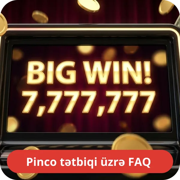 Pinco tətbiqi üzrə FAQ